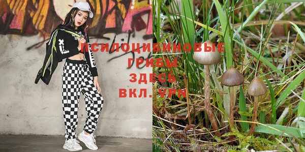 гашиш Баксан
